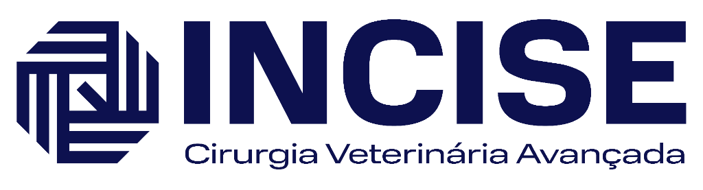 Incise Logo